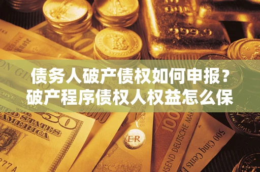 北京债务人破产债权如何申报？破产程序债权人权益怎么保障？