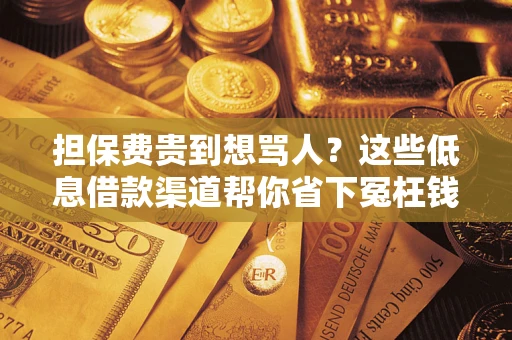 北京担保费贵到想骂人？这些低息借款渠道帮你省下冤枉钱