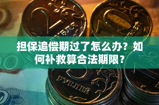 北京担保追偿期过了怎么办？如何补救算合法期限？