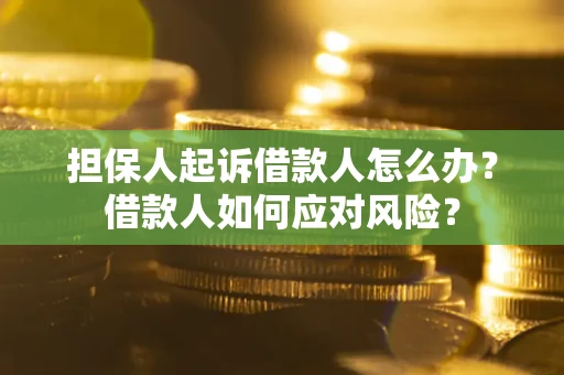 北京担保人起诉借款人怎么办？借款人如何应对风险？